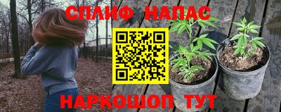 стафф Славгород