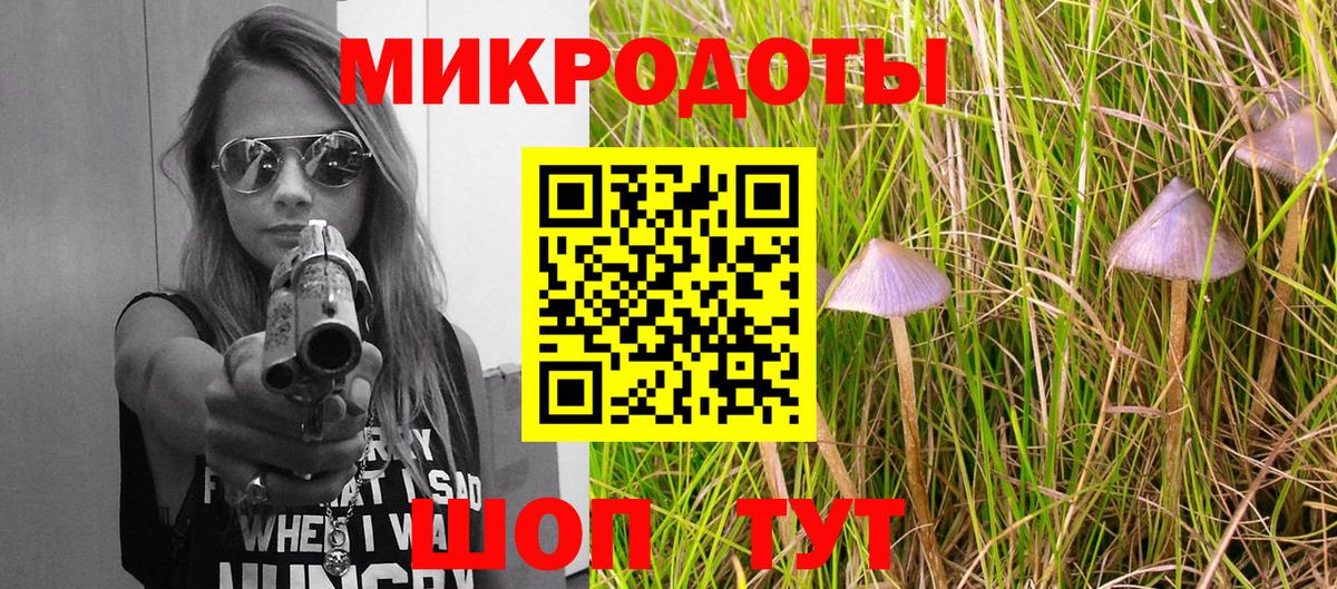Приморско-Ахтарск  Галлюциногенные грибы прущие грибы  где найти наркотики  Вход с VPN 